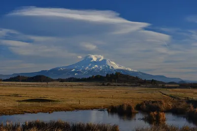 DSC_6001 (Large).JPG